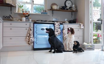 three dogs in a kitchen