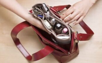 a handbag