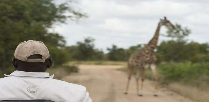 virtual_safari