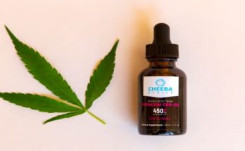 cbd oil