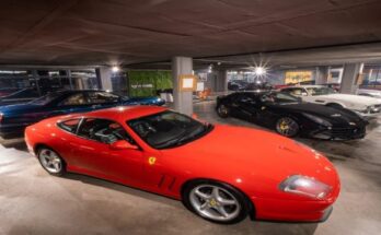 Hyde Park Corner_Zebra Square Gallery (18) (002)