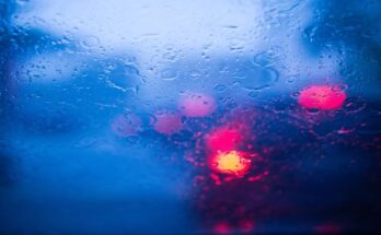 blurry windscreen (002)