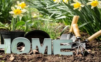 Spring home improvements (1) (003)