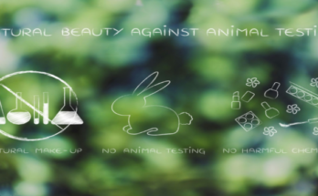 Vegan-Make-up