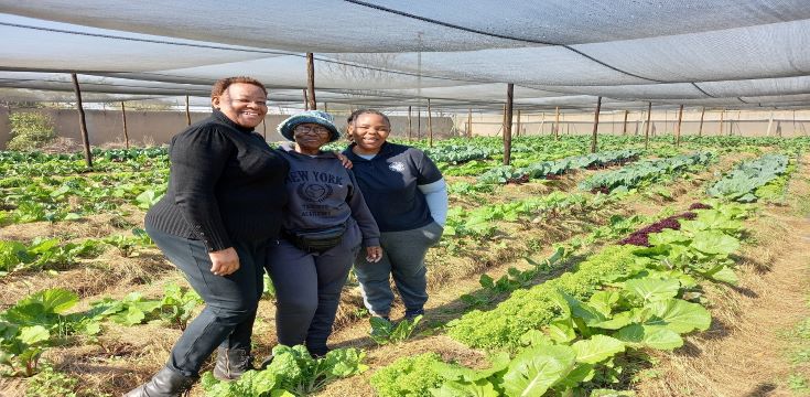 Winterveld Food Gardening Project