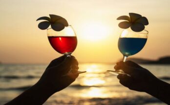 silhouette-couple-hand-holding-cocktail-glass-decoration-with-plumeria-flower-with-beach-happy-relax-celebration-vacation-sea-nature-concept