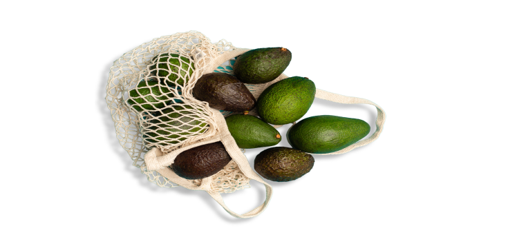 AvoGeneric209