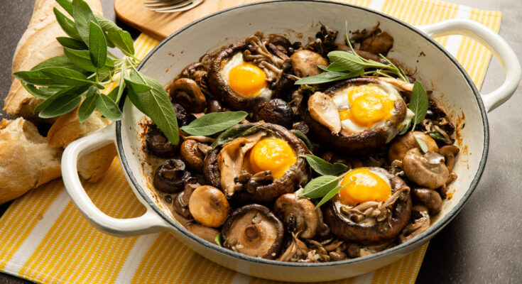 EggMushroomMedley