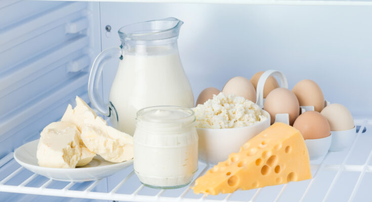 eggs and tasty healthy dairy products in the refrigerator: sour cream in the bank, cottage cheese in bowl, eggs, cheese, butter on a saucer and milk in a jar