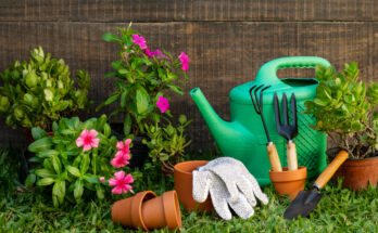 plants-pot-with-watering-can