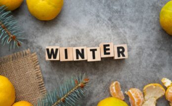 flay-lay-arrangement-with-winter-word-stucco-background