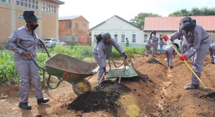 The Orange Farm center where young people are learning the skills of Agriculture
