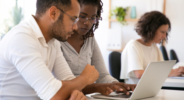 trainer-explaining-project-details-intern