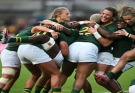 Springbok Women Embrace World Cup Quarterfinal Challenge