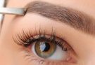 Why Eyebrow Transplants are Seeing Rapid Growth