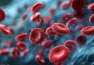 The Myths, Facts and Daily Life of Living with Haemophilia
