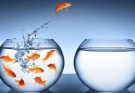 How Stepping Out of Your Comfort Zone Can Level Up Your Life