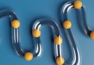The Bottleneck at the Top: Get out of the Way for Business Growth