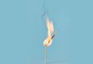 Why Senior Women Leaders Are Burning Out