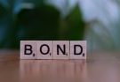 Joint Bonds Explained: Understanding Shared Risk and Reward